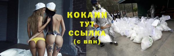 трава Алзамай