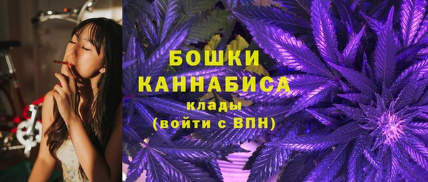 шишки Алексеевка